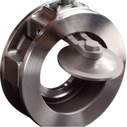 Special Check Valve